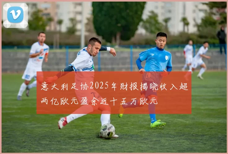 意大利足协2025年财报揭晓收入超两亿欧元盈余近十五万欧元